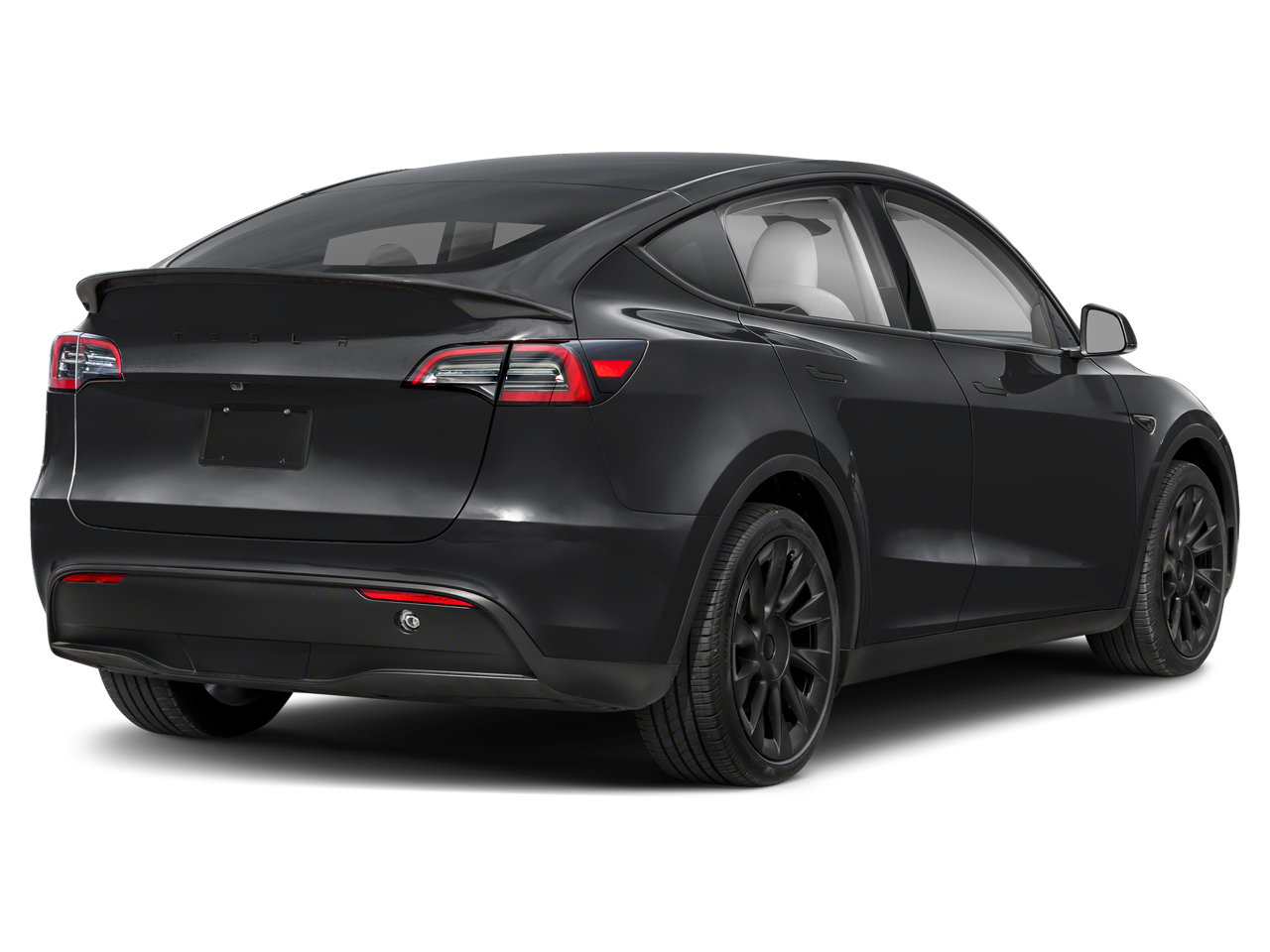 Used 2024 Tesla Model Y Long Range with VIN 7SAYGDEE3RA247120 for sale in Warren, OH